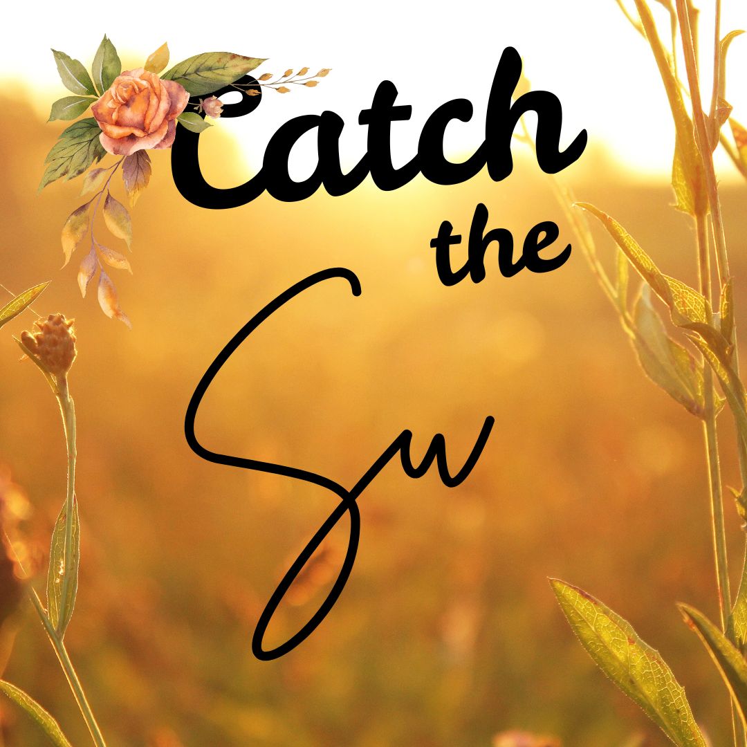 Catch the Sun by Jennifer Hartman